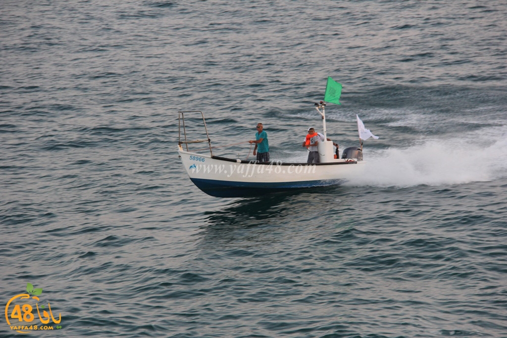 iste3rad sayaden yaffa (13).JPG